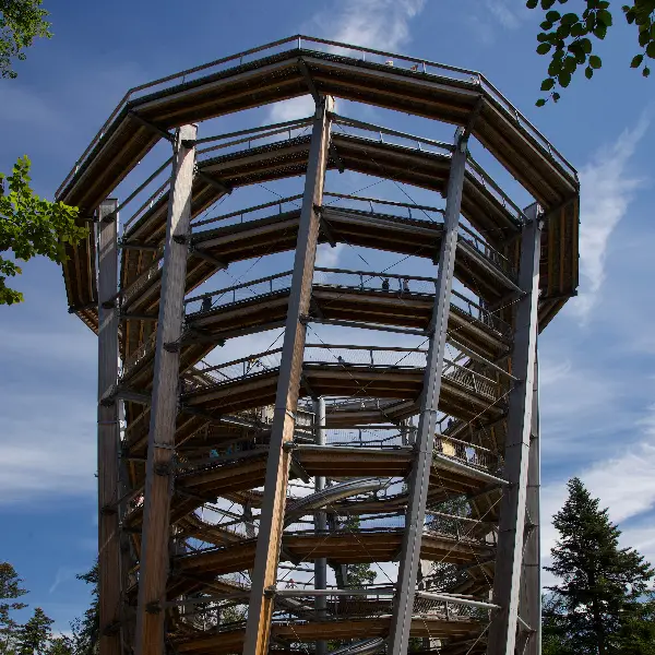 Chemin des Cimes Forêt-Noire