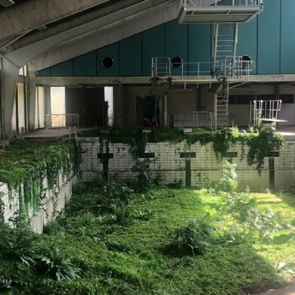 Quand la nature reprend ses droits