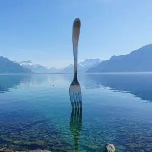 Fourchette Lac Léman