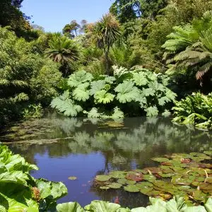 Lost Gardens Heligan