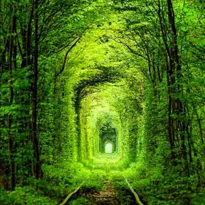 Tunnel de l&rsquo;amour Klevan