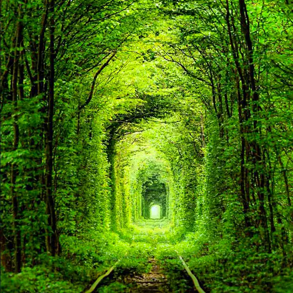 Tunnel de l&rsquo;amour Klevan