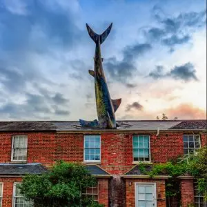 Requin de Headington