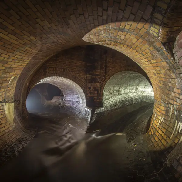 Monde caché souterrain