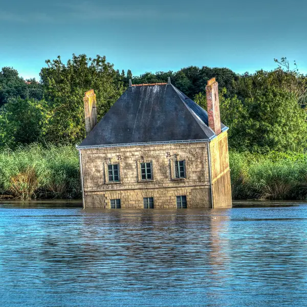 Maison dans la Loire