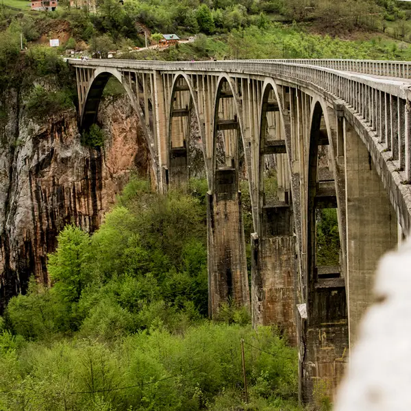Pont Đurđevića Tara