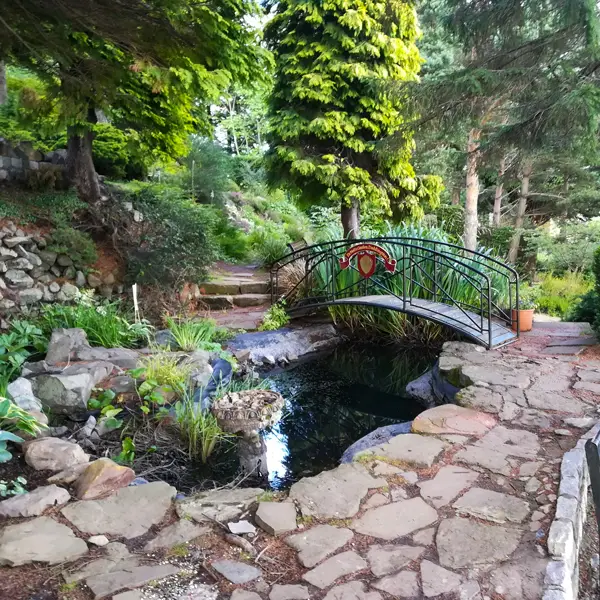 dr neil's garden (1)