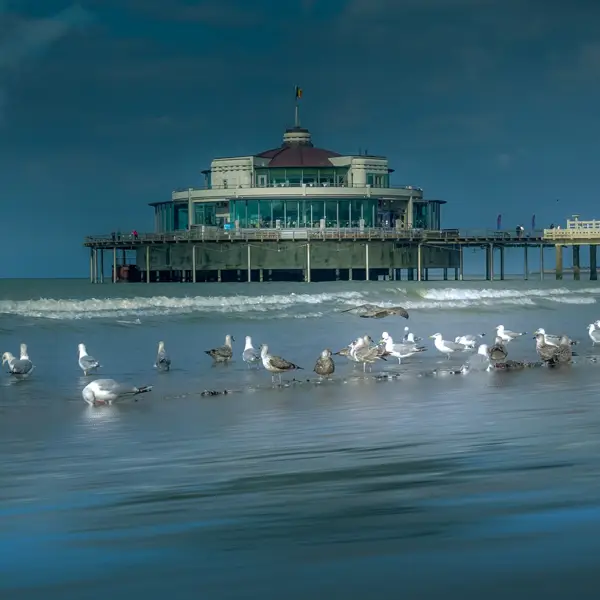 blankenberge pier (2)