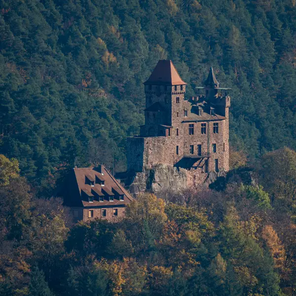burg berwartstein (1)