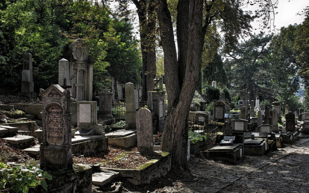 Road trip sur les traces de Dracula | Lieu Insolite